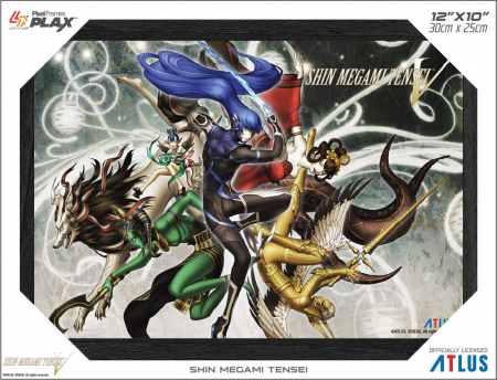 Pixel Frames Plax Shin Megami Tensen V 30x25cm