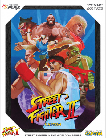 Pixel Frames Plax Street Fighter II The World Warriors 25x30cm