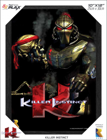 Pixel Frames Plax Killer Instinct 25x30cm