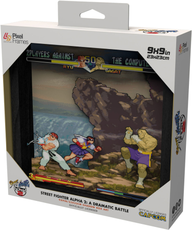 Pixel Frames Street Fighter Alpha 2 A Dramatic Battle 23x23cm