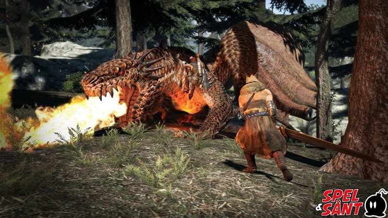 Dragons Dogma Spel Sant Tv Spelsbutiken Med Sveriges Nojdaste Kunder